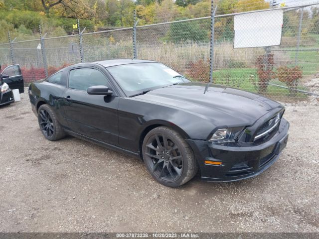 FORD MUSTANG 2014 1zvbp8am3e5328248