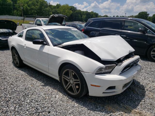 FORD MUSTANG 2014 1zvbp8am3e5331263