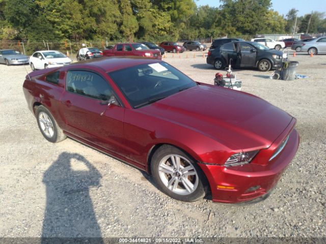 FORD MUSTANG 2014 1zvbp8am3e5331585