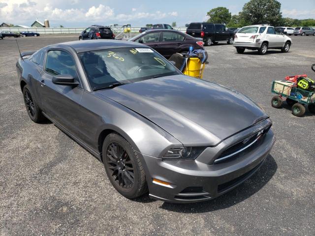 FORD MUSTANG 2014 1zvbp8am3e5334695