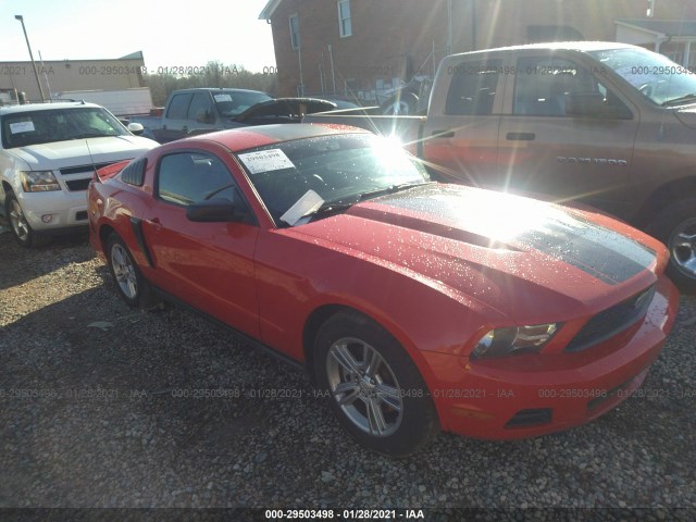 FORD MUSTANG 2011 1zvbp8am4b5100173