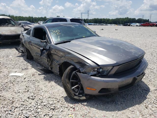 FORD MUSTANG 2011 1zvbp8am4b5101565