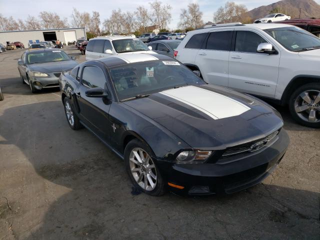 FORD MUSTANG 2011 1zvbp8am4b5102103