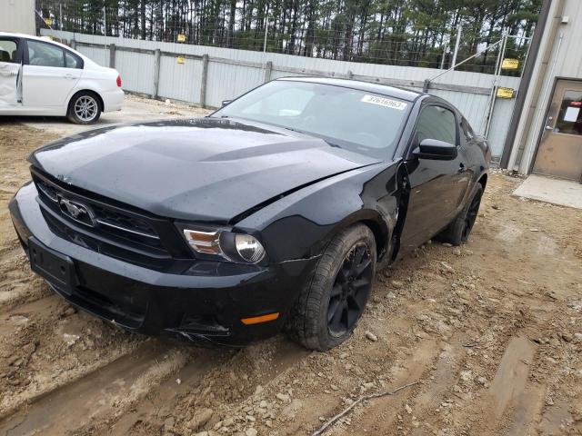 FORD MUSTANG 2011 1zvbp8am4b5102831