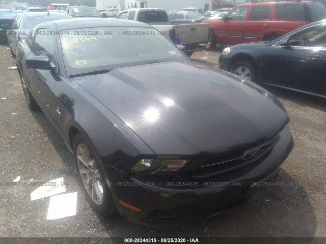 FORD MUSTANG 2011 1zvbp8am4b5103008