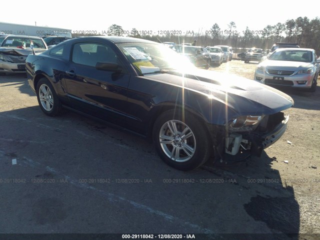 FORD MUSTANG 2011 1zvbp8am4b5105390