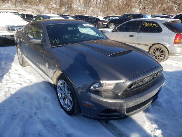 FORD MUSTANG 2011 1zvbp8am4b5105597