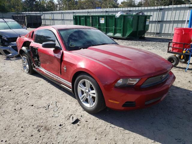 FORD MUSTANG 2011 1zvbp8am4b5114462