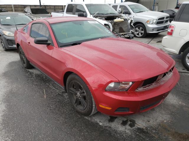 FORD MUSTANG 2011 1zvbp8am4b5114946