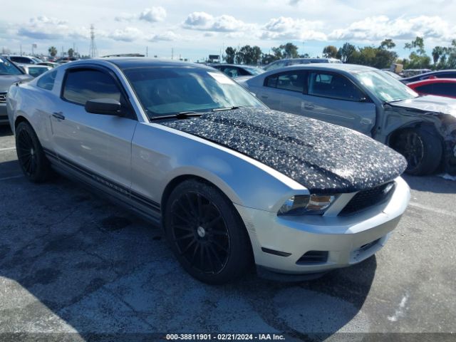 FORD MUSTANG 2011 1zvbp8am4b5115630