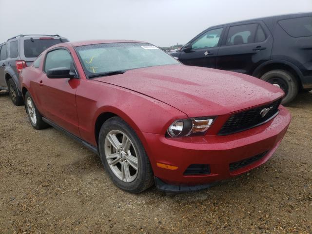 FORD MUSTANG 2011 1zvbp8am4b5115997