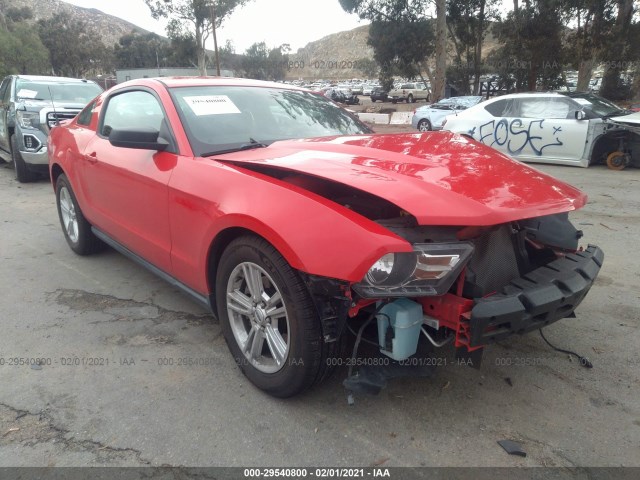 FORD MUSTANG 2011 1zvbp8am4b5116244