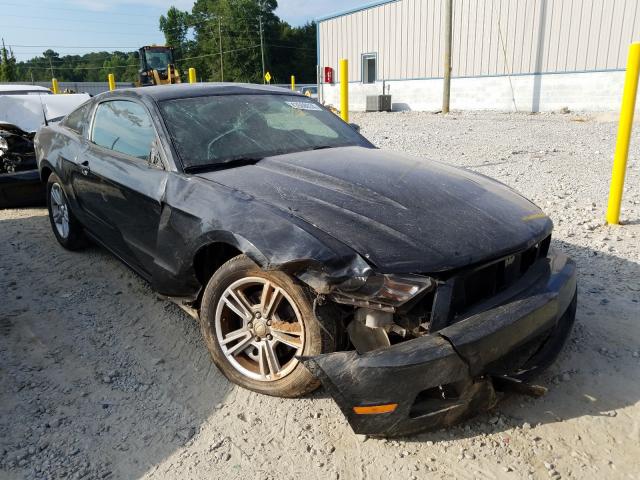 FORD MUSTANG 2011 1zvbp8am4b5116454