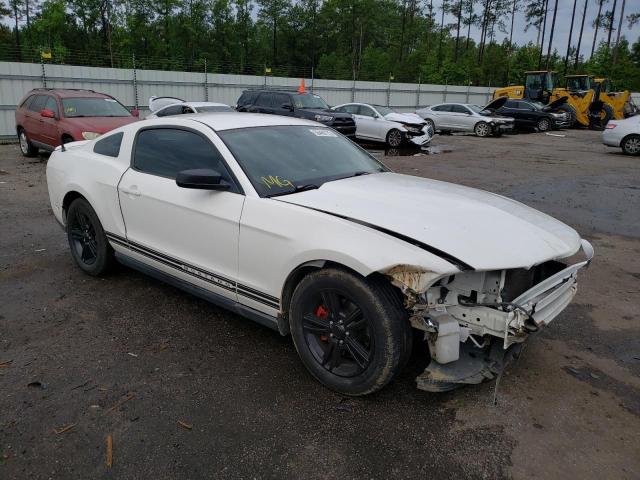 FORD MUSTANG 2011 1zvbp8am4b5119452