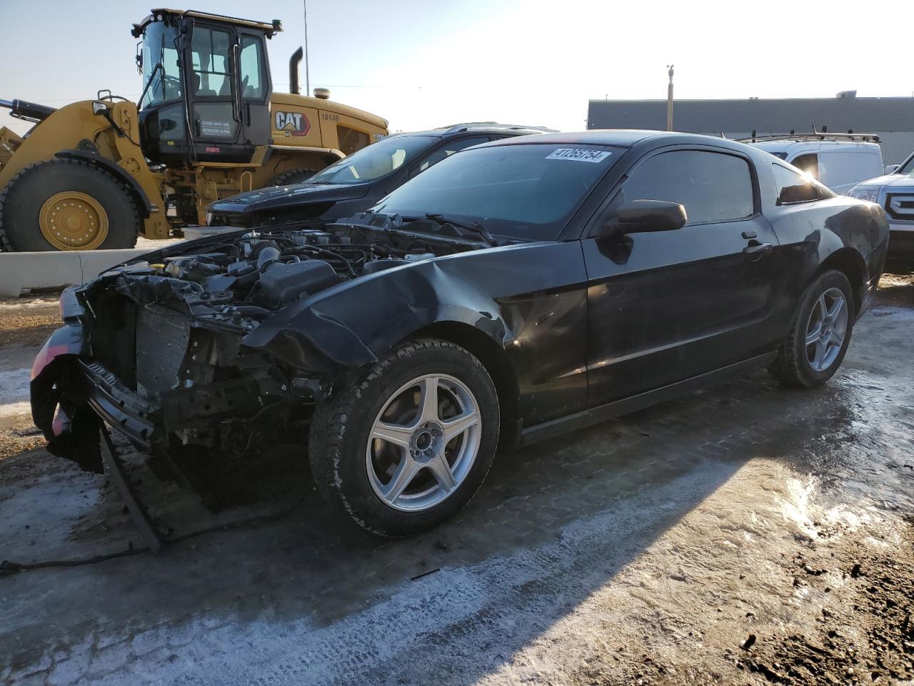 FORD MUSTANG 2011 1zvbp8am4b5123260