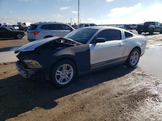 FORD MUSTANG 2011 1zvbp8am4b5124036