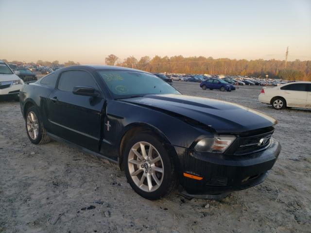 FORD MUSTANG 2011 1zvbp8am4b5124313