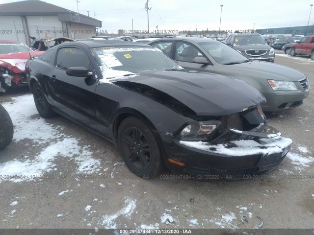 FORD MUSTANG 2011 1zvbp8am4b5128894