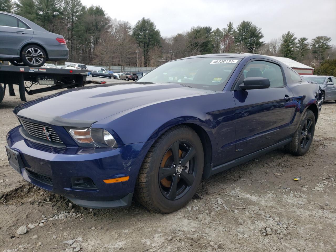 FORD MUSTANG 2011 1zvbp8am4b5129740