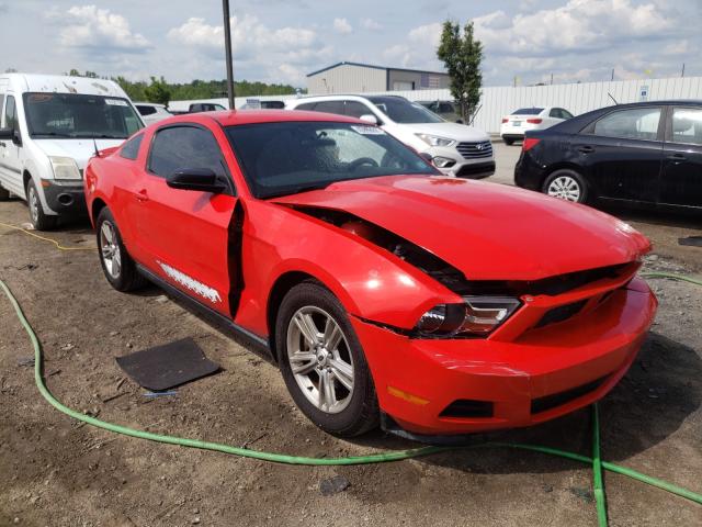 FORD MUSTANG 2011 1zvbp8am4b5130998