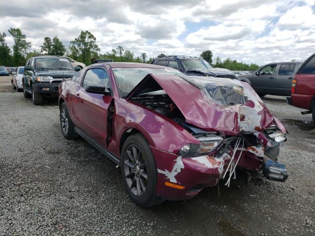 FORD MUSTANG 2011 1zvbp8am4b5131438