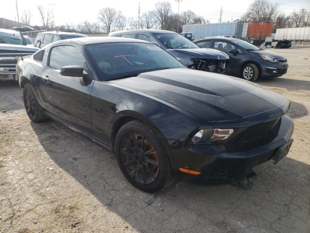 FORD MUSTANG 2011 1zvbp8am4b5131603