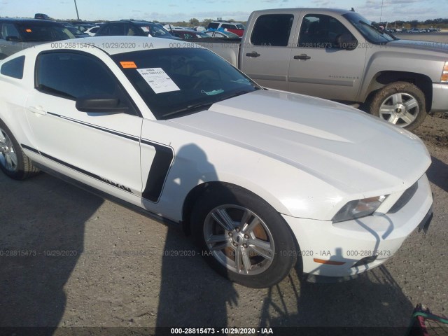 FORD MUSTANG 2011 1zvbp8am4b5133836