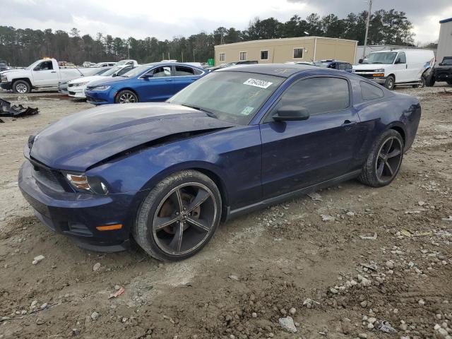 FORD MUSTANG 2011 1zvbp8am4b5138437