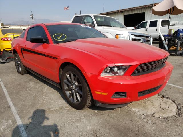 FORD MUSTANG 2011 1zvbp8am4b5139958