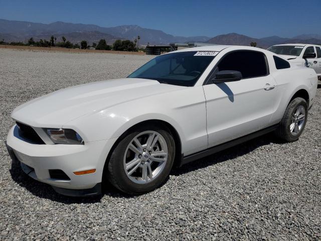 FORD MUSTANG 2011 1zvbp8am4b5142097