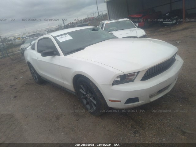 FORD MUSTANG 2011 1zvbp8am4b5144819