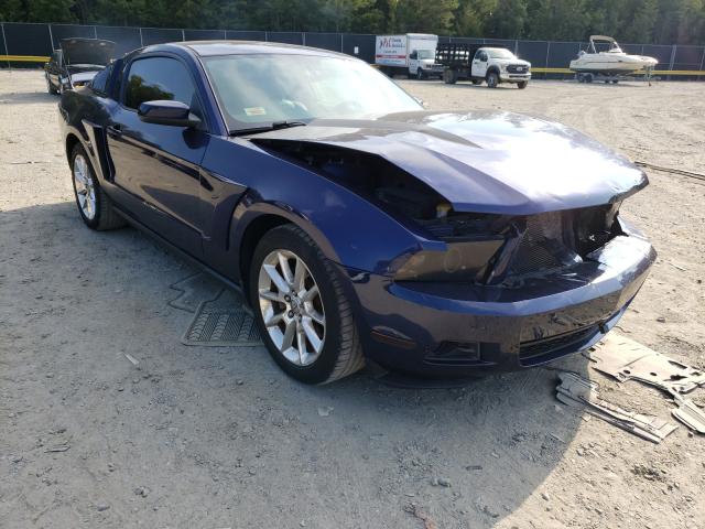 FORD MUSTANG 2011 1zvbp8am4b5145923