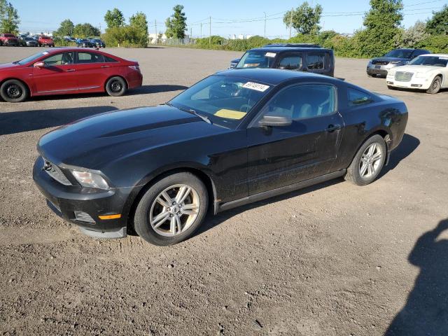 FORD MUSTANG 2011 1zvbp8am4b5147025