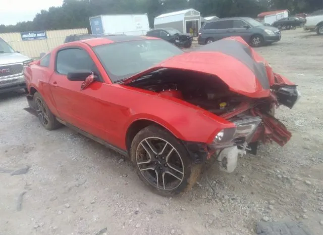 FORD MUSTANG 2011 1zvbp8am4b5149258