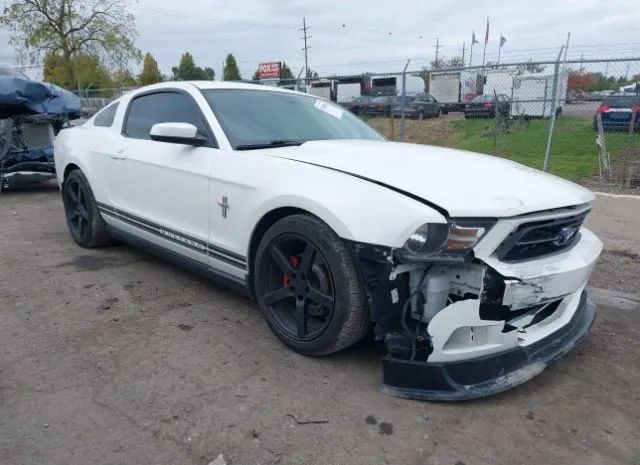 FORD MUSTANG 2011 1zvbp8am4b5149616