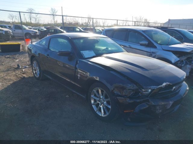 FORD MUSTANG 2011 1zvbp8am4b5153326