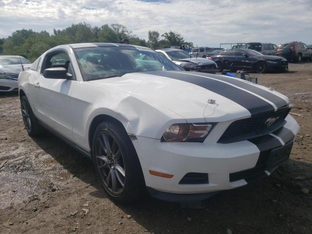 FORD MUSTANG 2011 1zvbp8am4b5153567