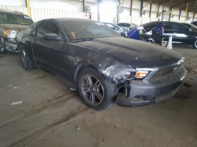 FORD MUSTANG 2011 1zvbp8am4b5166433