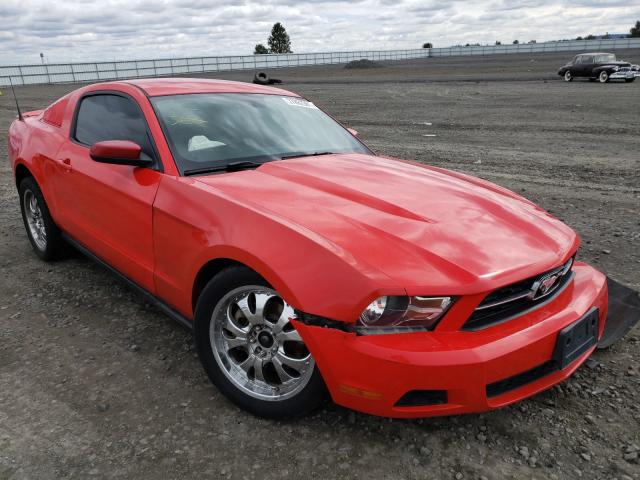 FORD MUSTANG 2012 1zvbp8am4c5235574