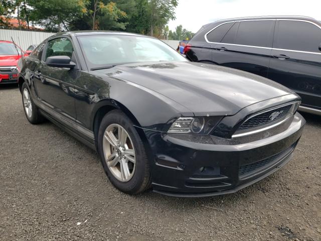 FORD MUSTANG 2013 1zvbp8am4d5200440