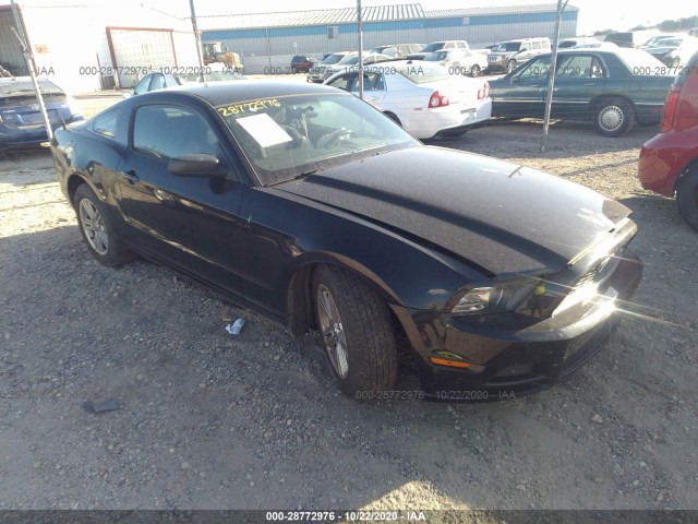 FORD MUSTANG 2013 1zvbp8am4d5203399