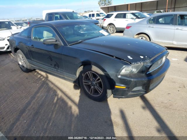 FORD MUSTANG 2013 1zvbp8am4d5204195