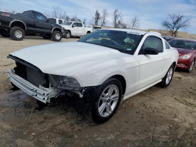 FORD MUSTANG 2013 1zvbp8am4d5205752