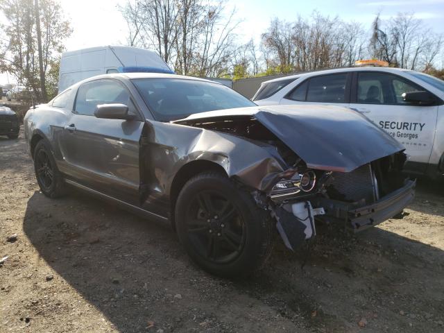 FORD MUSTANG 2013 1zvbp8am4d5205881