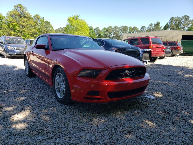 FORD MUSTANG 2013 1zvbp8am4d5206044