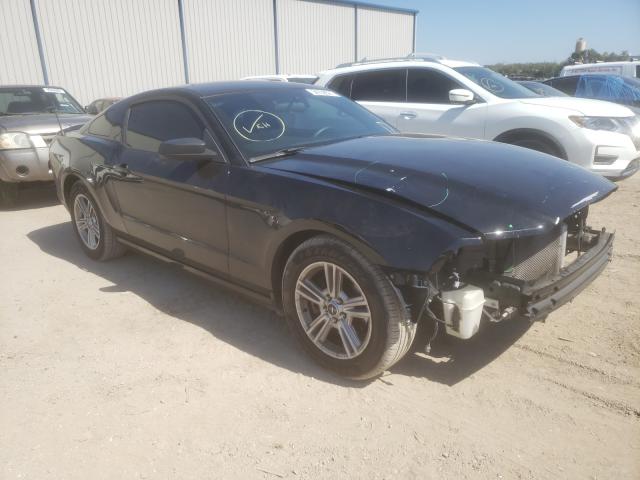 FORD MUSTANG 2013 1zvbp8am4d5213513