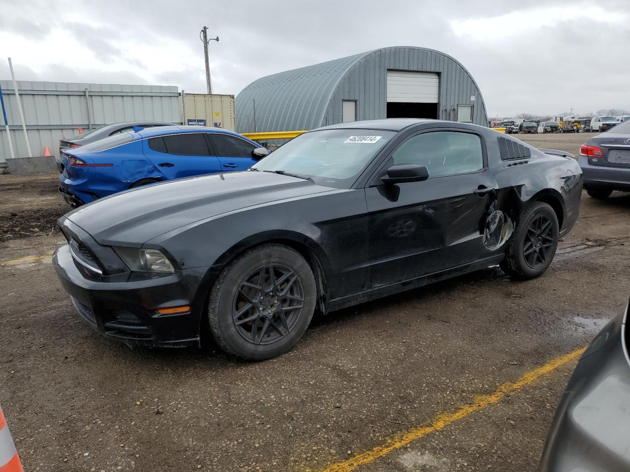 FORD MUSTANG 2013 1zvbp8am4d5218811