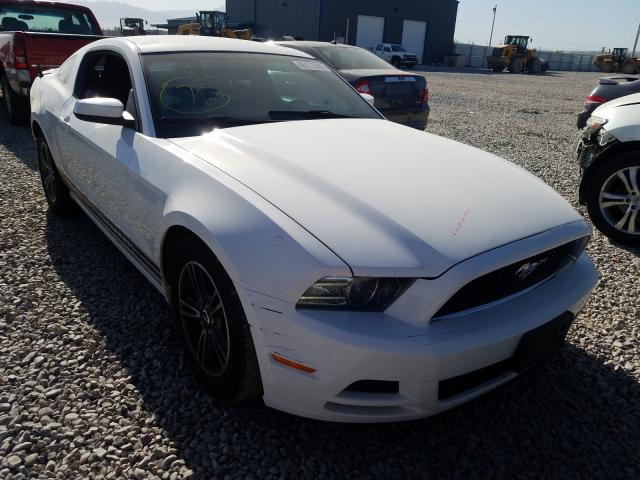 FORD MUSTANG 2013 1zvbp8am4d5227539