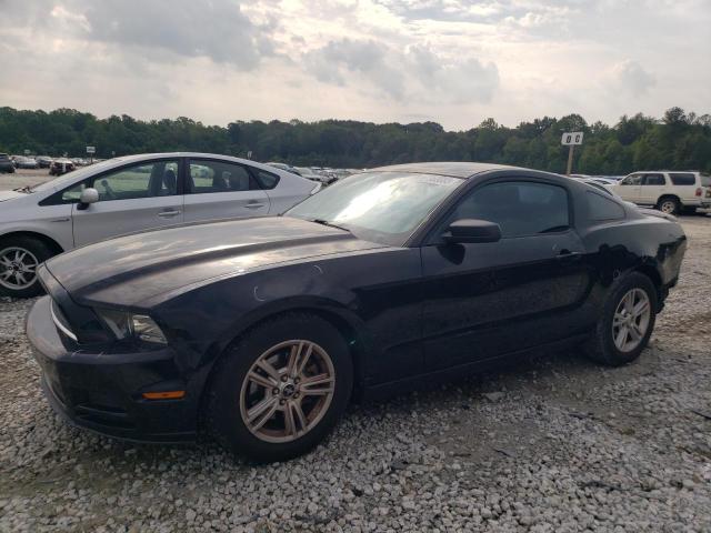 FORD MUSTANG 2013 1zvbp8am4d5228173