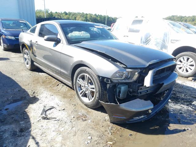 FORD MUSTANG 2013 1zvbp8am4d5230263